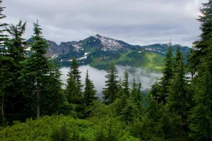 Clouds, mountains, more clouds and trees