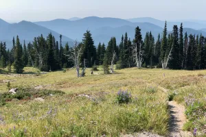A gradually-descending section of trail leaving Timberline Lodge