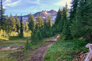 Trail leading to Diamond Peak