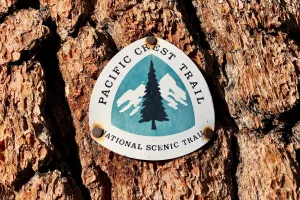 A PCT emblem nailed to a tree