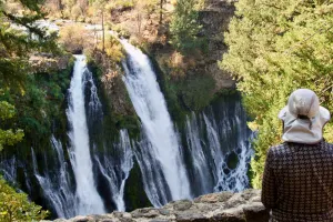 Bluejay at Burney Falls