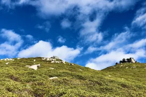 Clouds and manzanita