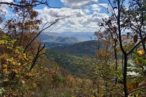 A view from the Benton MacKaye Trail