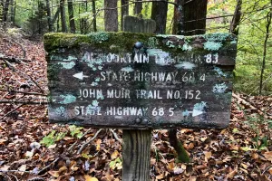 A moss-covered trail sign