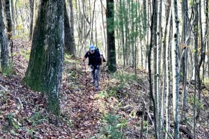 Tengo Hambre catches up after getting off the trail