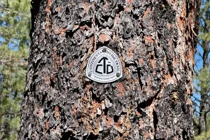 A CDT emblem is mounted on a tree