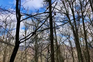 The sky is getting cloudier