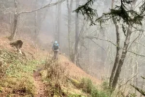 Walking in low clouds on the Mt. Sterling Ridge Trail