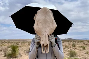 Zigzag holds a cow skull up to his head
