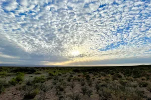 Sun rays filtering through a thin layer of clouds