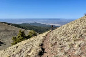 Zigzag rounds the slope of Mt. Taylor