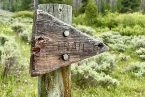 An arrow points in the direction of the CDT