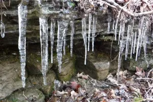 Icicles in Frozen Head State Park