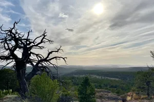 A view from the trail