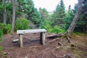 Bench on approach to Bemis Mountain