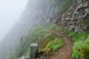 Kendall Katwalk in the fog