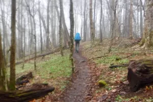 Landon walks on the AT in the Smokies