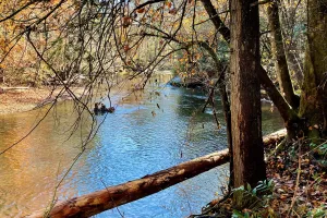 Davidson River in North Carolina