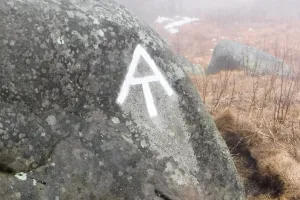 Fog on Little Hump Mountain
