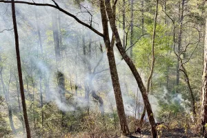 Smoke fills the air