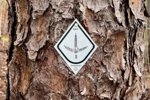 A Pinhoti Trail emblem nailed on a tree
