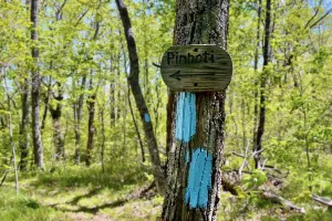 A sign points in the direction to follow the Pinhoti Trail