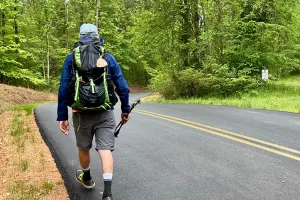 Tengo Hambre walks on a road