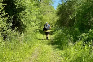 Tengo Hambre walks on a trail