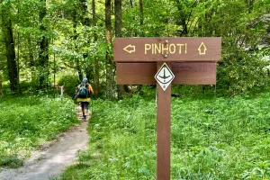 Tengo Hambre follows the trail