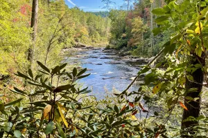 Fall colors on the Chattooga River