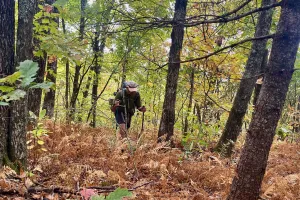 Polecat makes a climb on the Bartram Trail