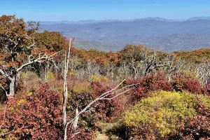 A view from Wayah Bald