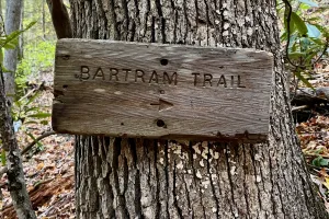 A sign pointing the direction of the Bartram Trail