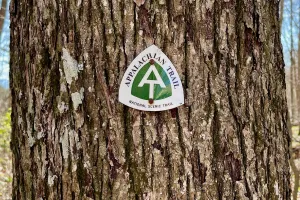 An Appalachian Trail emblem nailed to a tree