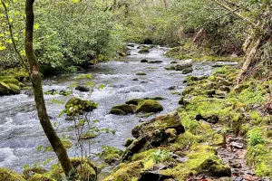Deep Creek