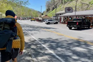 Polecat walks through Cherokee, N.C.