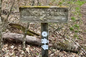 A sign on the Mountains-to-Sea Trail points two directions