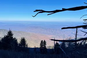 A distant view from the Appalachian Trail in Great Smoky Mountains National Park