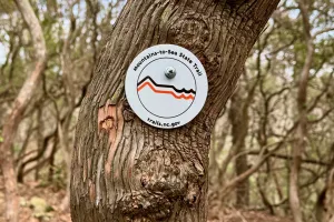 A Mountains-to-Sea Trail marker nailed to a tree