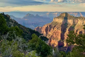 A view of the Grand Canyon from the North Rim