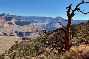 A view of the Grand Canyon near the South Rim