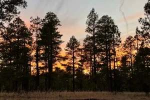 Sunset in Arizona