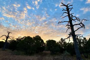Sunrise on the Arizona Trail