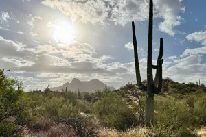 Sunlight filters through clouds over Picketpost Mountain
