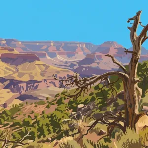 Arizona Trail