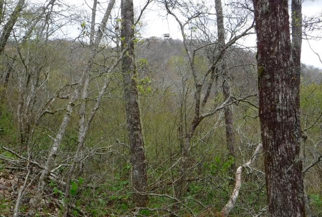 View of Camp Creek Bald