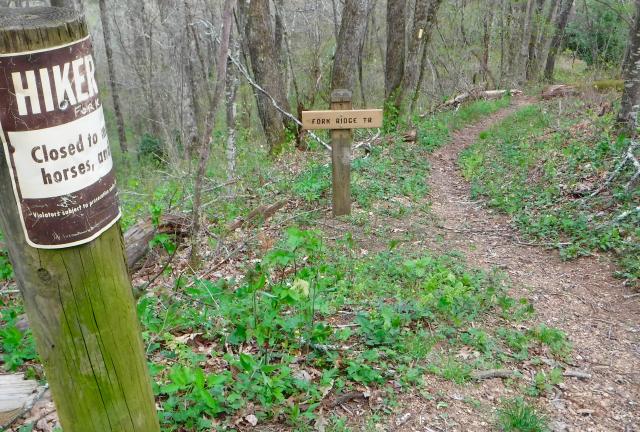 Fork Ridge Trail junction