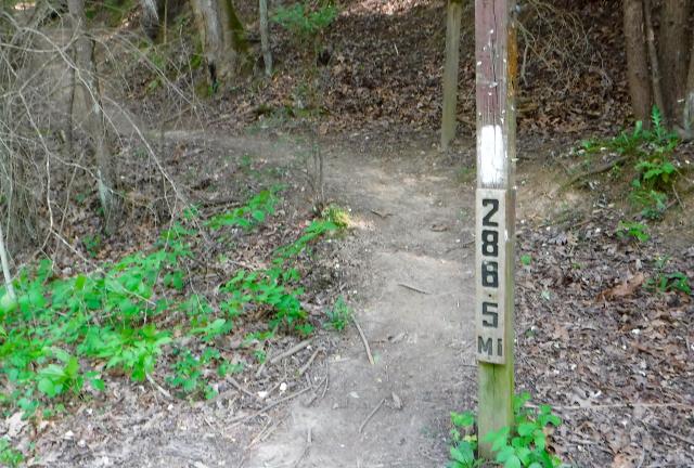 Trail marker