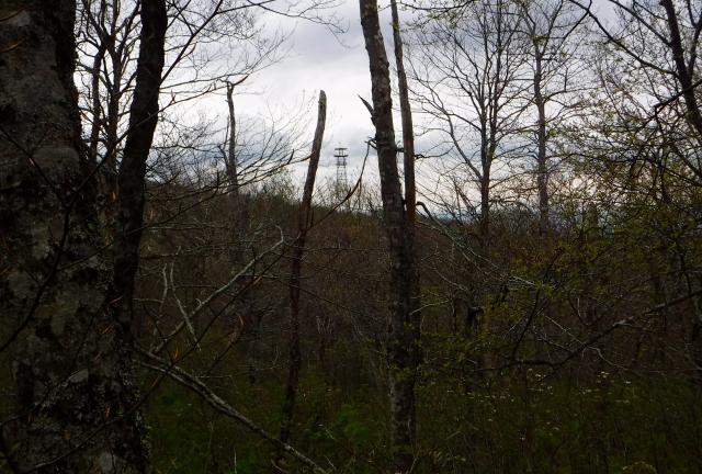 Old ski lift tower