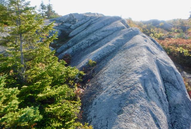 Rock ridge on Moxie Bald Mountain